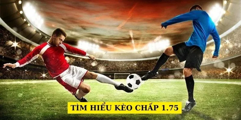 Tỷ lệ kèo 1.75 Handicap đẳng cấp trong cá cược đá bóng