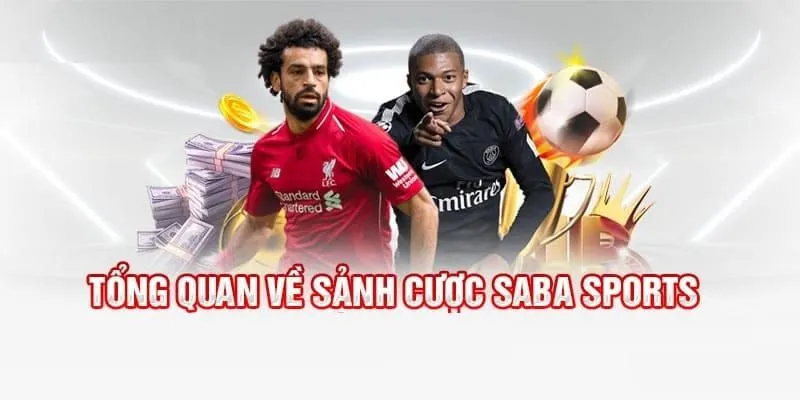 Giới thiệu đôi nét về sảnh Saba sports tại nhà cái 8kbet 